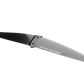 After Burner Carbon Tail